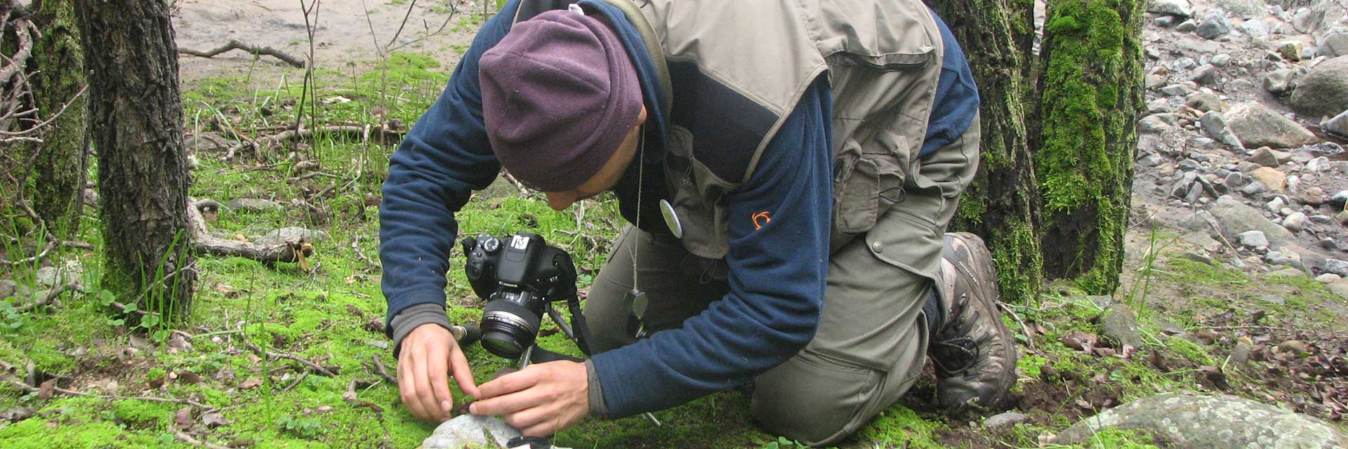 investigacion-monitoreo