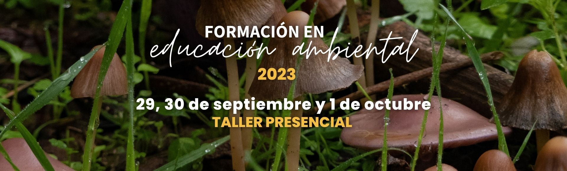 Formación en Educación Ambiental