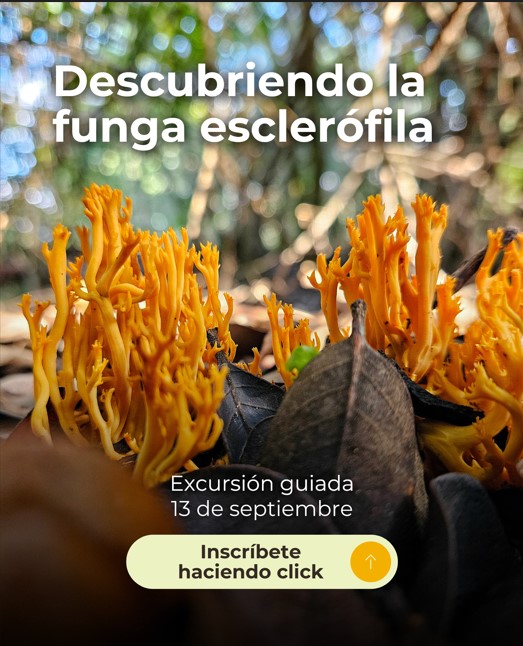 Formulario