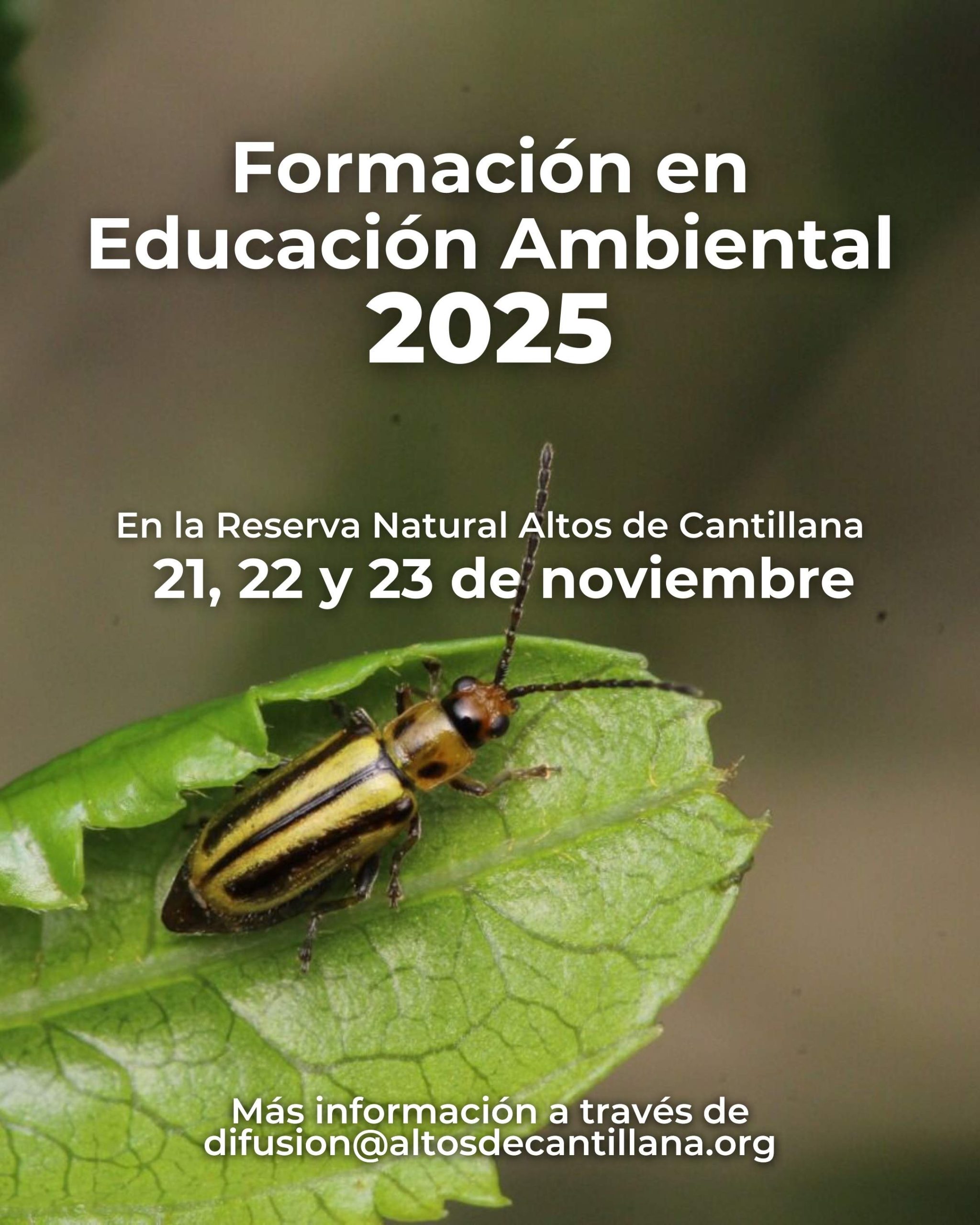 Formulario